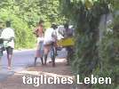 daily life